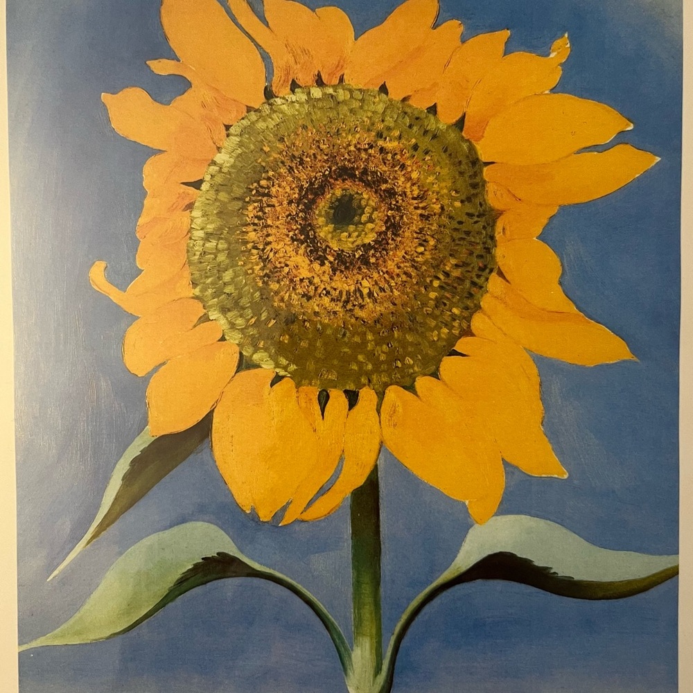FRAMED ART Sunflower, New Mexico, 1935 Georgia O'Keeffe Floral Print Framed